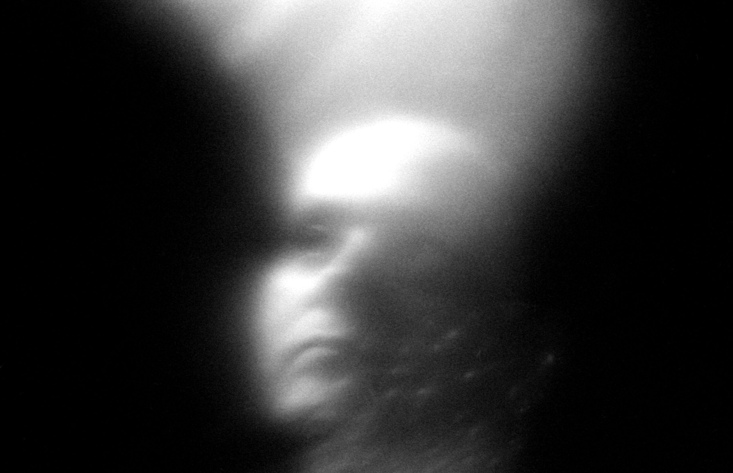Dans la maison du discernable