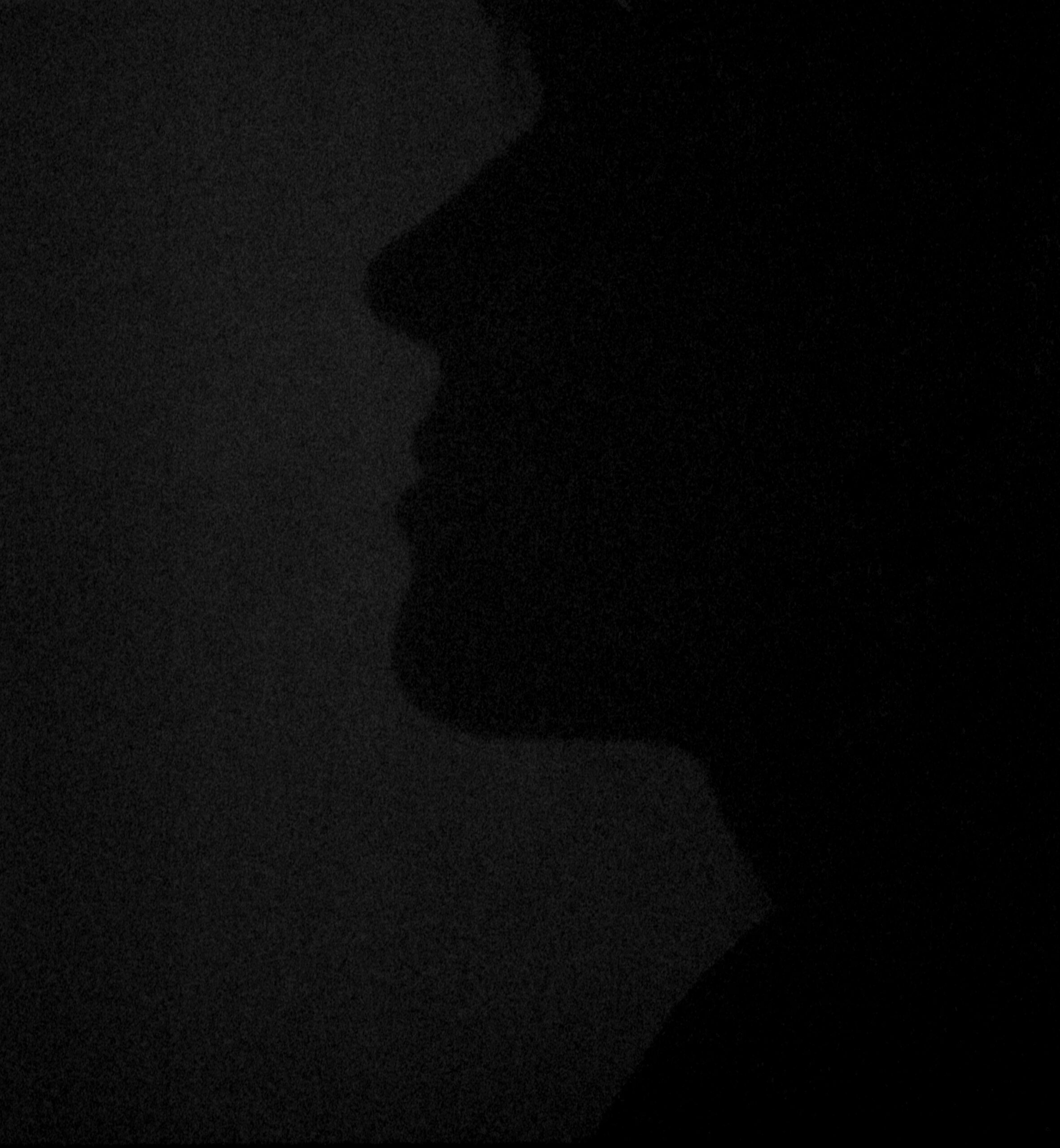 Dans la maison du discernable