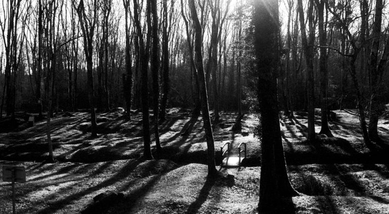 Couverture de la série